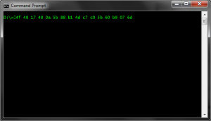 Serial number pasted to command prompt